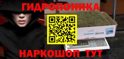 2c-b Сланцы