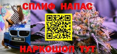 винт Славгород