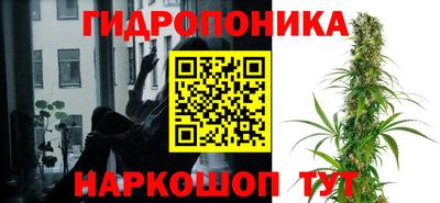 2c-b Сланцы