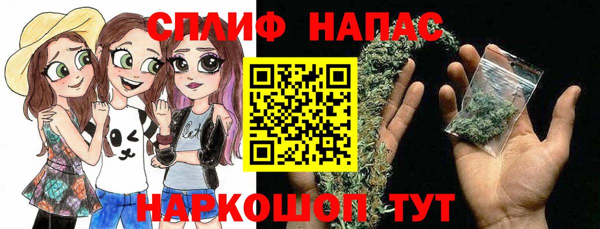 Конопля сатива  Вход с VPN  Нальчик  МАРИХУАНА конопля  Конопля план 